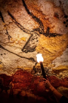 FS6A2866-Enhanced-NR- Lascaux IV - 19_12_2024@Déclic&Décolle